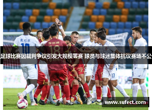 足球比赛因裁判争议引发大规模罢赛 球员与球迷集体抗议赛场不公