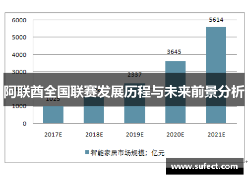 阿联酋全国联赛发展历程与未来前景分析