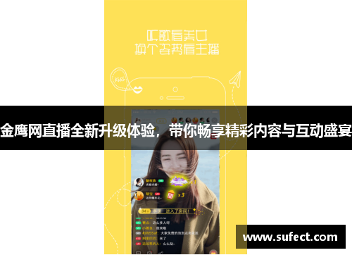 金鹰网直播全新升级体验，带你畅享精彩内容与互动盛宴