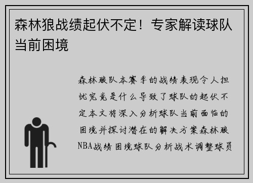 森林狼战绩起伏不定！专家解读球队当前困境