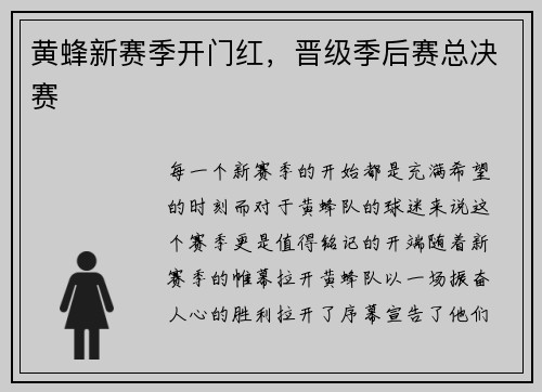 黄蜂新赛季开门红，晋级季后赛总决赛
