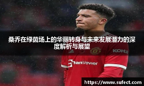 桑乔在绿茵场上的华丽转身与未来发展潜力的深度解析与展望